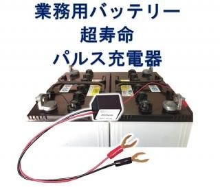 高性能充電器 激安2倍寿命バッテリー ユーロパワー長寿命 ソーラー蓄電池 ポータブル電源 高性能充電器 激安2倍寿命バッテリー ユーロパワー長寿命 ソーラー蓄電池 ポータブル電源