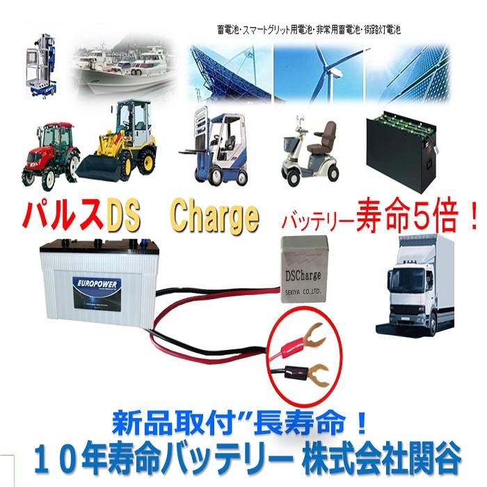 電動カートバッテリー 自動再生 超小型パルス DS Charger 2個 電動カートバッテリー 自動再生 超小型パルス DS Charger 2個