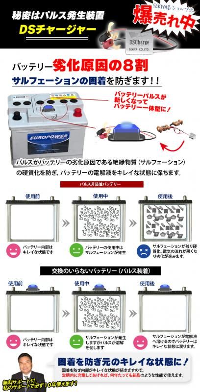 今、ご購入に、バッテリー再生DSパルスプレゼント！ EB160互換 ３倍寿命 EBバッテリー 密閉型 メンテナンスフリー 180Ah 12V  LFP12180D - ソーラーオフグリット│ポータブル電源　蓄電池　ソーラー│株式会社関谷