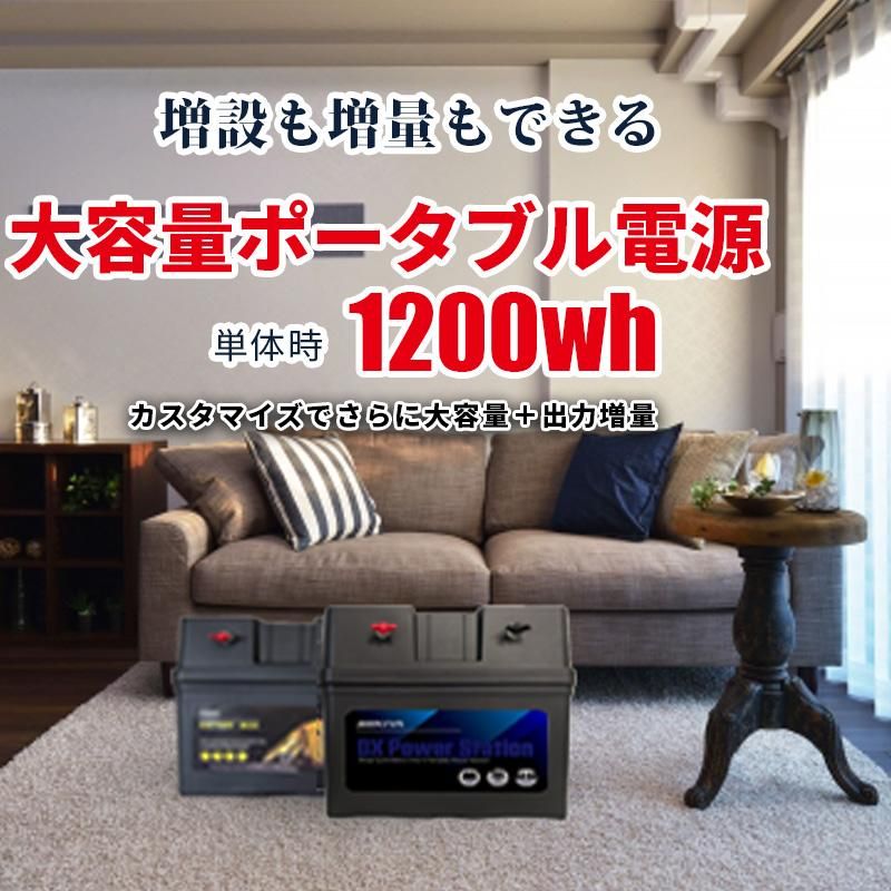 限定特価 最強コスパ ポータブル電源 1200wh SEKIYA 節電・停電 限定特価 最強コスパ ポータブル電源 1200wh SEKIYA 節電・停電