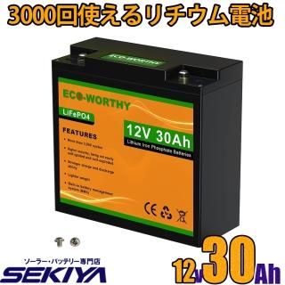3000回使える 20AH リチウムイオンバッテリー 12V 256Wh 3000回使える 20AH リチウムイオンバッテリー 12V 256Wh