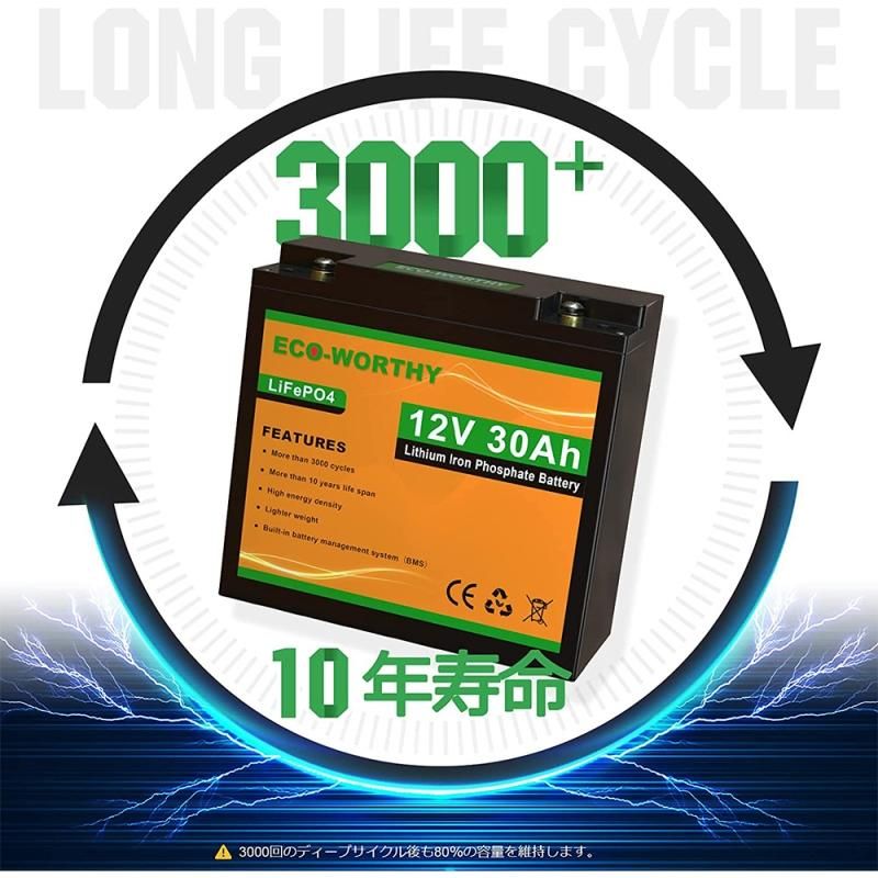3000回使える 20AH リチウムイオンバッテリー 12V 256Wh 3000回使える 20AH リチウムイオンバッテリー 12V 256Wh