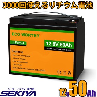 3000Ȥ 50AH ।Хåƥ꡼ 12V 640Wh Хåƥ꡼ Ŵ  lifepo4 ǥץ BMSݸ  ѥ EcoWorthy