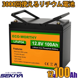 3000Ȥ 100AH ।Хåƥ꡼ 12V 1280Wh Хåƥ꡼ Ŵ  lifepo4 ǥץ BMSݸ  ѥ EcoWorthy