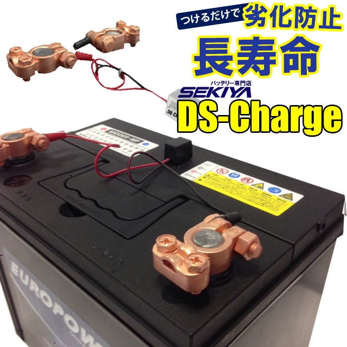 バッテリー自動再生 小型パルス DS Charger |株式会社関谷 宮崎県ものづくり大賞受賞 長寿命バッテリー専門店 SEKIYA