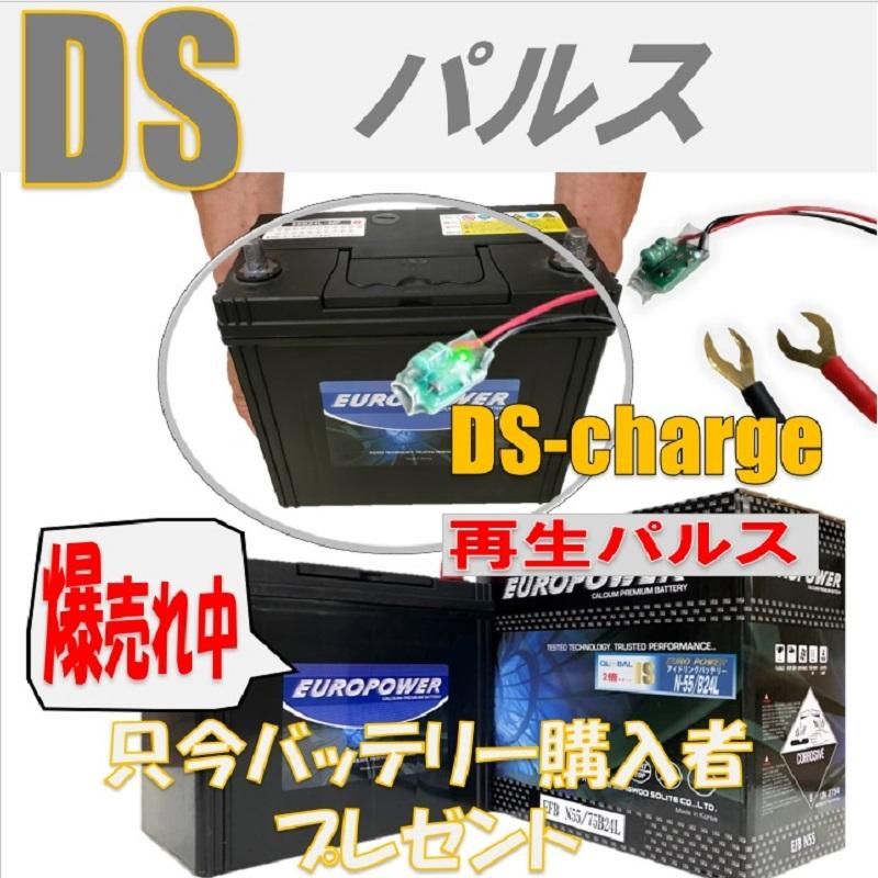 電動カートバッテリー 自動再生 超小型パルス DS Charger 2個 電動カートバッテリー 自動再生 超小型パルス DS Charger 2個