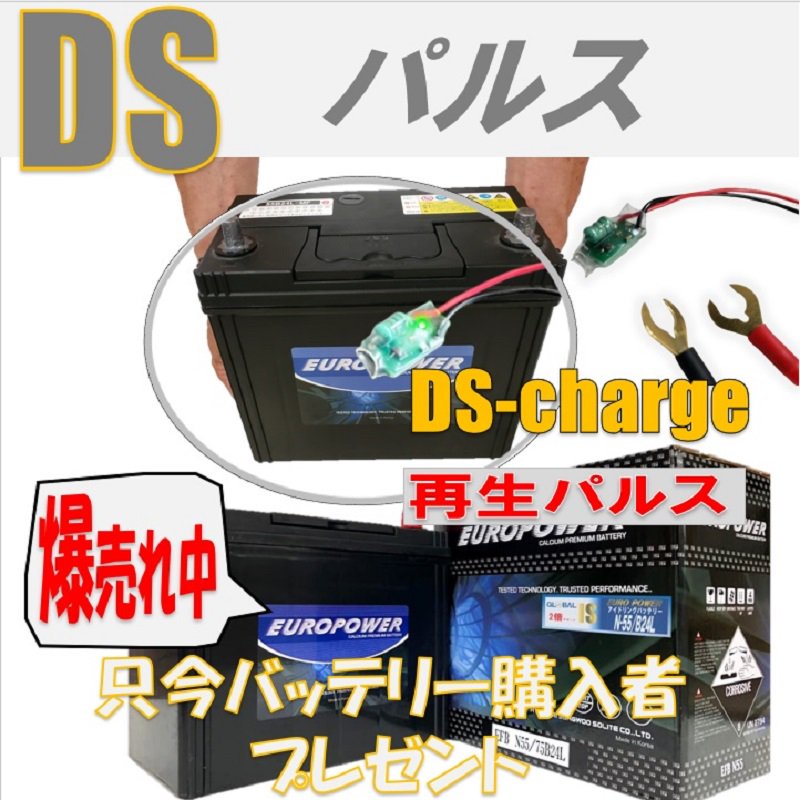 Хåƥ Ķѥ륹 DS Charger Хåƥ꡼ Хåƥ꡼ˤĤ ̿ܣܡ DS㡼㡼 ܺ긩ΤŤ޼