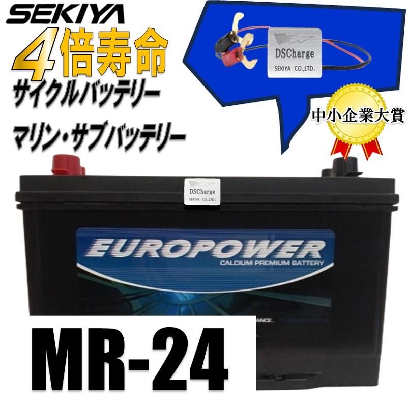劣化防止パルス付 EUROPOWER世界ブランド DC24MF【高性能 新品 劣化防止パルス付 EUROPOWER世界ブランド DC24MF【高性能 新品