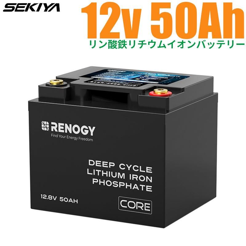 3000回使える リン酸鉄リチウム サイクルバッテリー 100AH 3000回使える リン酸鉄リチウム サイクルバッテリー 100AH