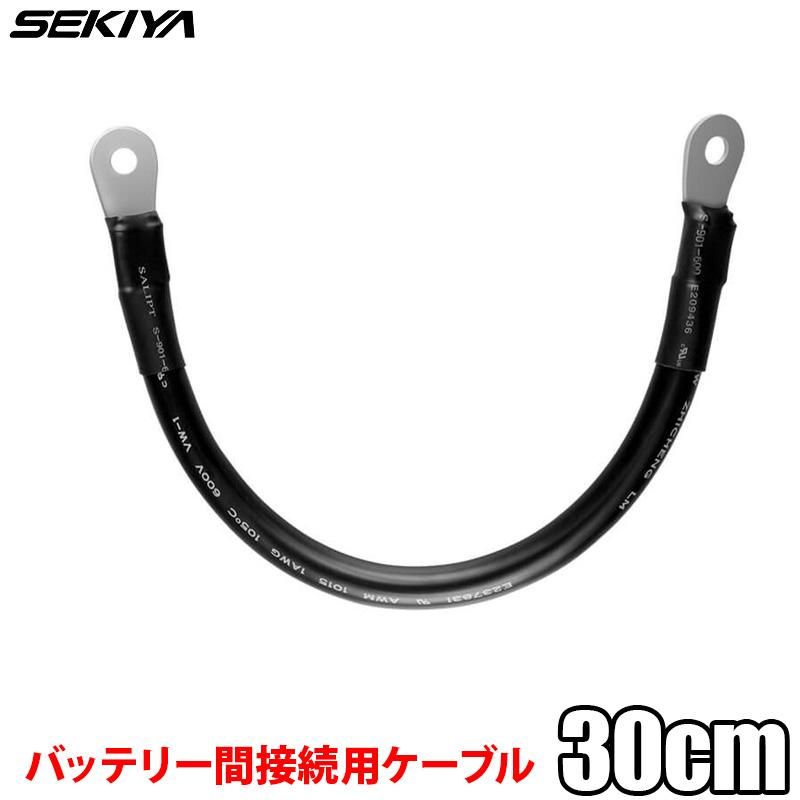 Хåƥ꡼³ѥ֥ 38SQ 30cm 