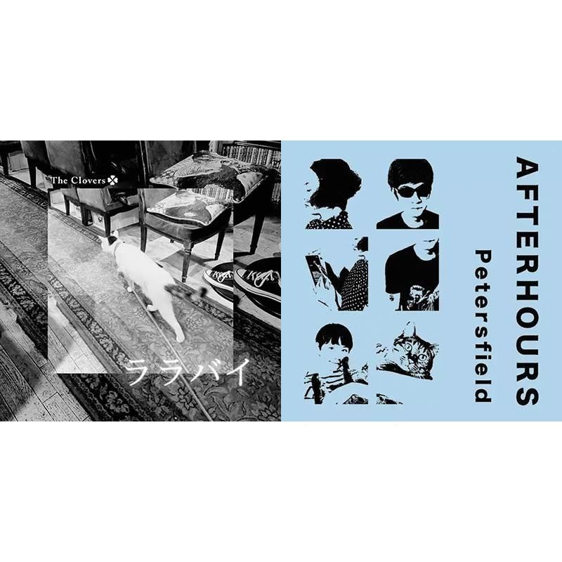 chic-sale online store