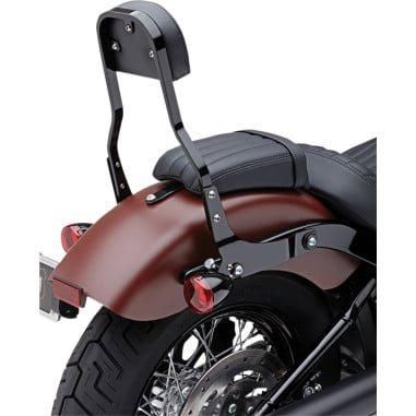 スポーツスター 真新しく デタッチャブル シーシーバー
