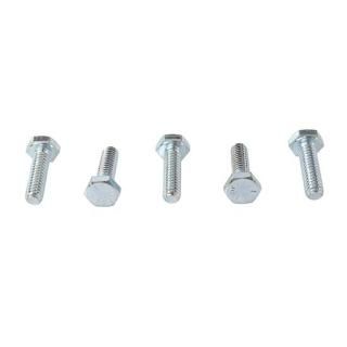 Hex å ܥ Zinc 1/4  X 7/8  ࡦϡ졼 73-0012