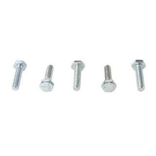 Hex å ܥ Zinc 1/4 -20 x 1  ࡦϡ졼 73-0013