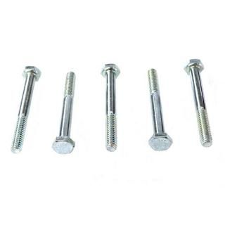 Hex å ܥ Zinc 1/4  X 2-1/4  ࡦϡ졼 73-0017