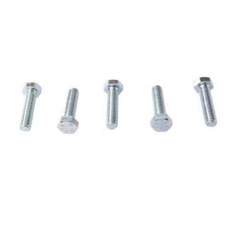 Hex å ܥ Zinc 5/16  X 1-1/4  ࡦϡ졼 73-0022