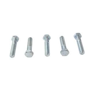 Hex å ܥ Zinc 3/8  x 1-3/4  ࡦϡ졼 73-0029