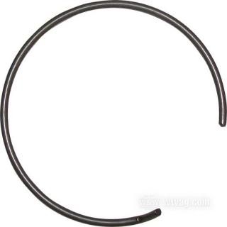 OEM 68105-20 W&W Snap ring 10-454