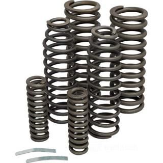 OEM 2618-30 W&W Spring Kits for I-Beam Springer Forks 15-978