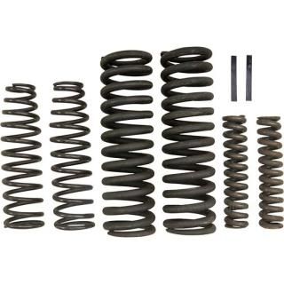 OEM 2618-30A W&W Spring Kits for I-Beam Springer Forks 16-307