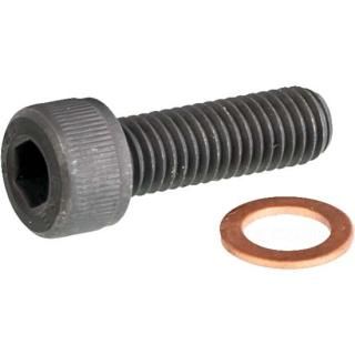 OEM 45405-75A W&W Bottom Screw for Showa Forks 18-596