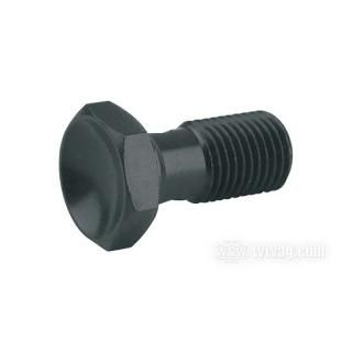 W&W Banjo Bolts 27-837