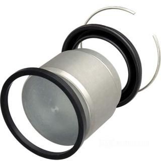 OEM 43946-86 W&W Brake Caliper Pistons 29-033