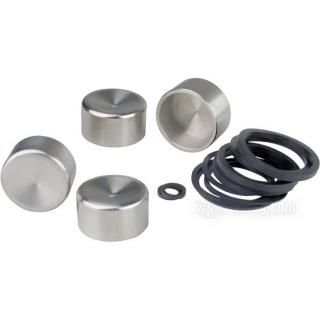 OEM 44313-01 W&W Brake Caliper Pistons 29-187