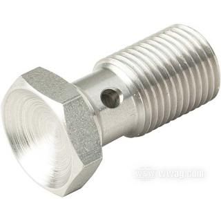 W&W Banjo Bolts 29-829