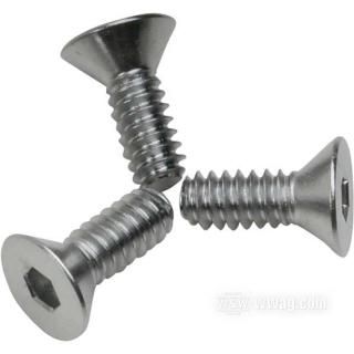 OEM 1761 W&W Screw 45-060