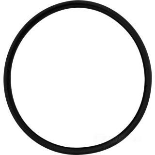 OEM 67716-60 W&W O-Rings for FL Headlight Trim Ring 57-707