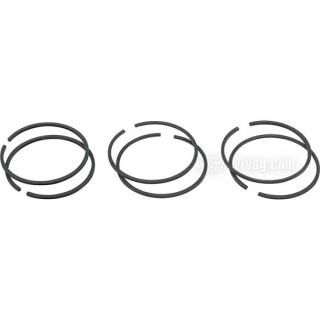 OEM 22355-38 W&W Hastings Piston Rings OEM Pack 60-210