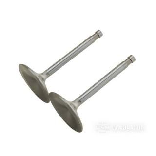 OEM 18070-70 W&W Manley Severe Duty Valves 60-544