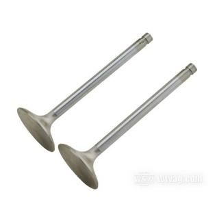 OEM 18082-83 W&W Manley Severe Duty Valves 60-549