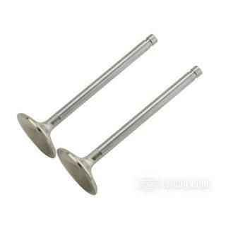 OEM 18031-86 W&W Manley Severe Duty Valves 60-567