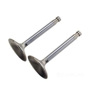 OEM 18078-80 W&W Manley Race Master Valves 60-583