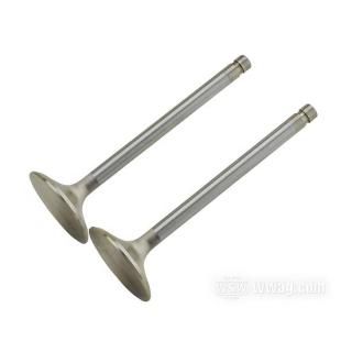 OEM 18082-83 W&W Manley Race Master Valves 60-584