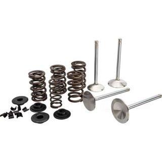 W&W Manley Race Master Valve Train Kits 60-587