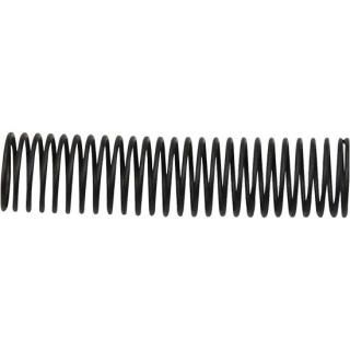 OEM 26363-56 W&W Springs for Check Valves 60-820