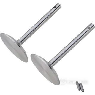 OEM 116-17 W&W Intake Valves 1915-1929 60-838
