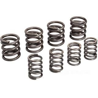 OEM 18204-57A W&W Valve Springs OEM Replacement 60-856