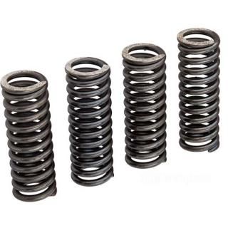 OEM 168-41 W&W Valve Springs OEM Replacement 60-860