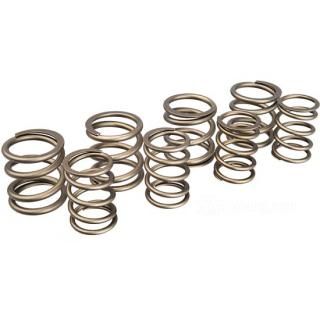 W&W Andrews Valve Springs 60-861