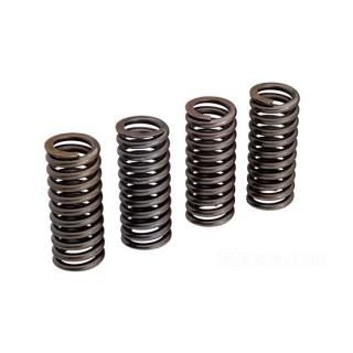 OEM 168-32 W&W Valve Springs OEM Replacement 60-865