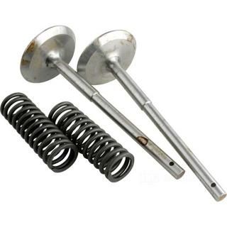 OEM 186-10 W&W Exhaust Valves and Springs 1915-1929 60-879