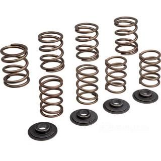 W&W Manley Valve Springs 60-884