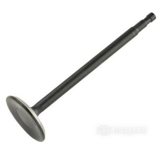 OEM 18072-37 W&W KPM Black Diamond Valves 61-348