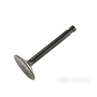 OEM 18071-48 W&W KPM Black Diamond Valves 61-370