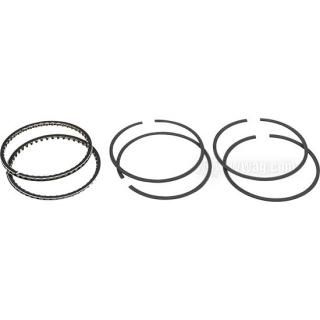 OEM 21920-83 W&W Hastings Piston Rings OEM Pack 61-840