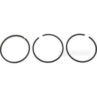 OEM 22329-48 W&W Hastings Piston Rings OEM Pack 61-853